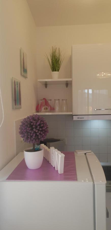 Apartment Rosana ラバック エクステリア 写真
